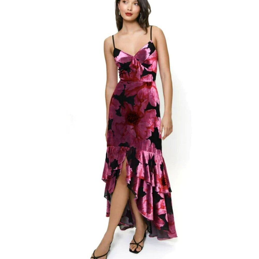 Hutch Floral Velvet Ruffle High Low Romantic Maxi Dress NWT Size 4